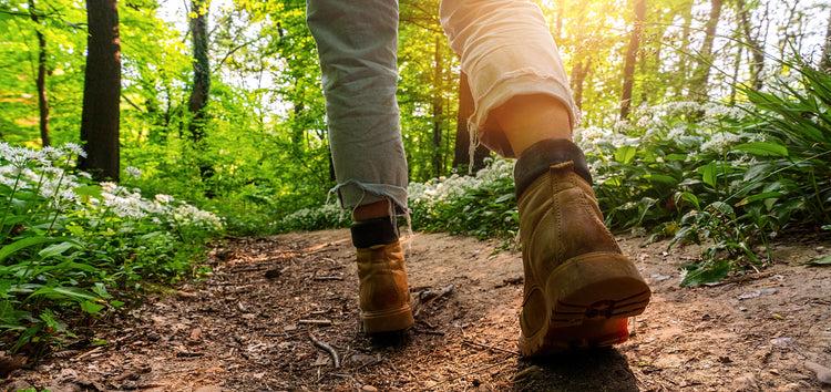 Finding the Perfect Insoles: A Guide to Comfort and Support